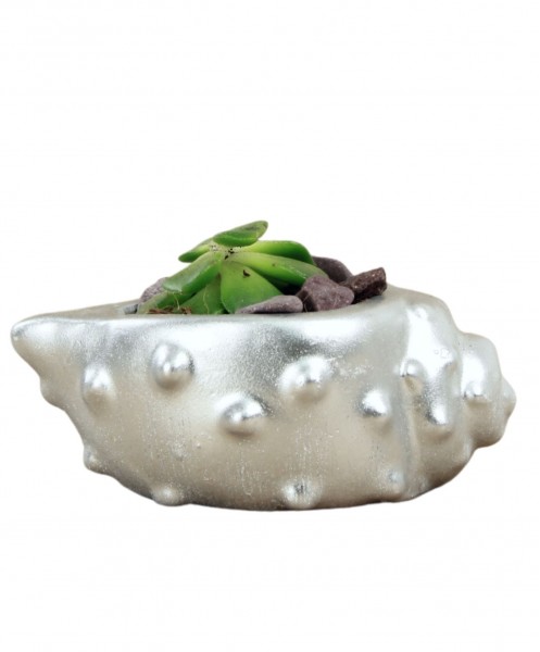 Mini Çiçek Saksı Küçük Sukulent Gümüş Kaktüs Saksısı Deniz Kabuğu Model